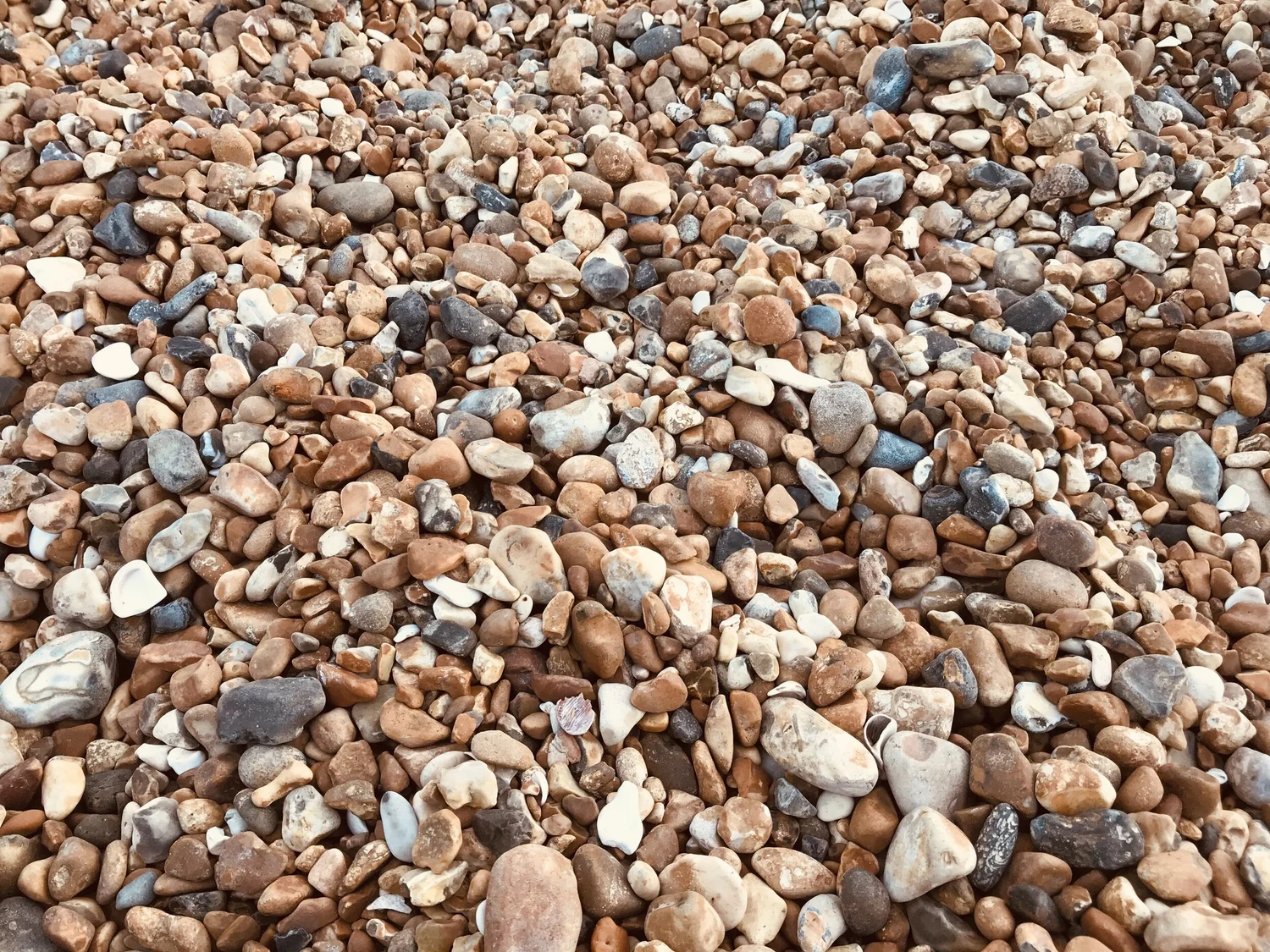 Smooth beach pebbles representing a calm start to counselling